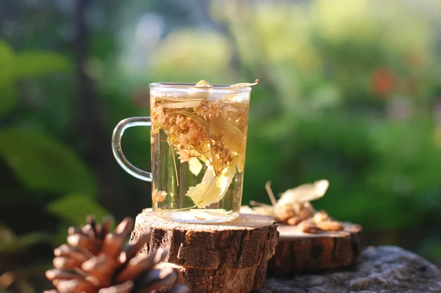 Glas mit Kräutertee auf einem Baumstumpf im Grünen