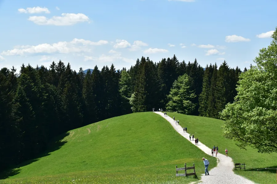 Wandergruppe auf einem Weg über eine grüne Kuppe am Waldrand